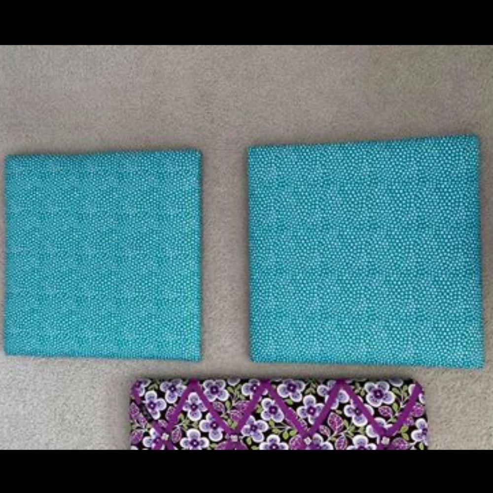 Pottery Barn Dorm Picture Pin Boards (2)